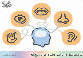 پاورپوینت فصل دوم زیست شناسی 2 پایه یازدهم تجربی(حواس)